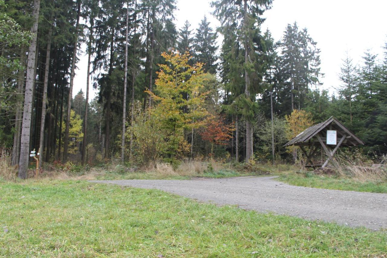 Zumseehoernchen Haus Schmetterling Tanna Eksteriør billede