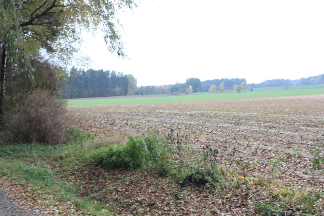 Zumseehoernchen Haus Schmetterling Tanna Eksteriør billede
