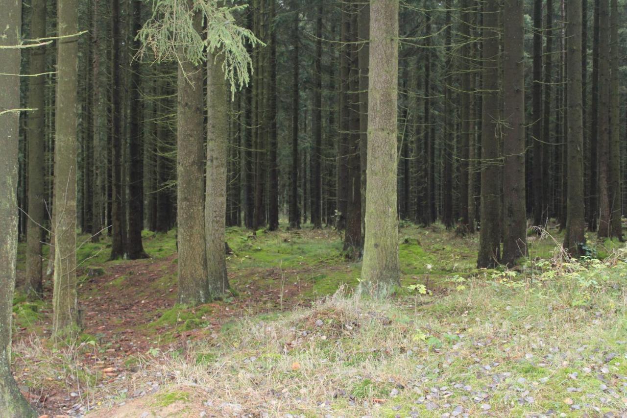 Zumseehoernchen Haus Schmetterling Tanna Eksteriør billede